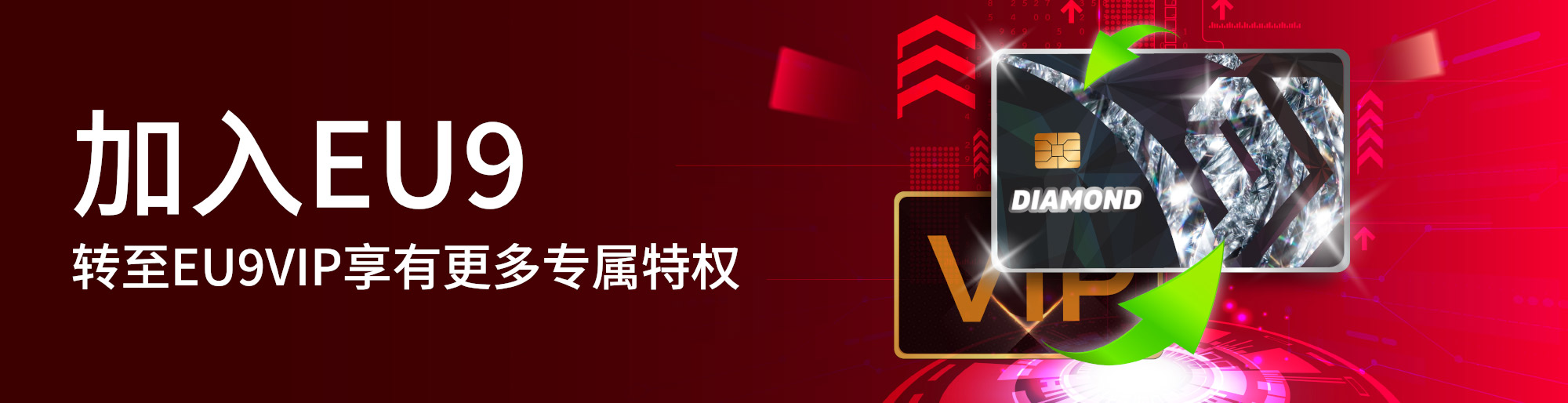 how to bet on horses and win